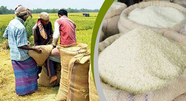 Bangladesh ranks 3rd in global rice production