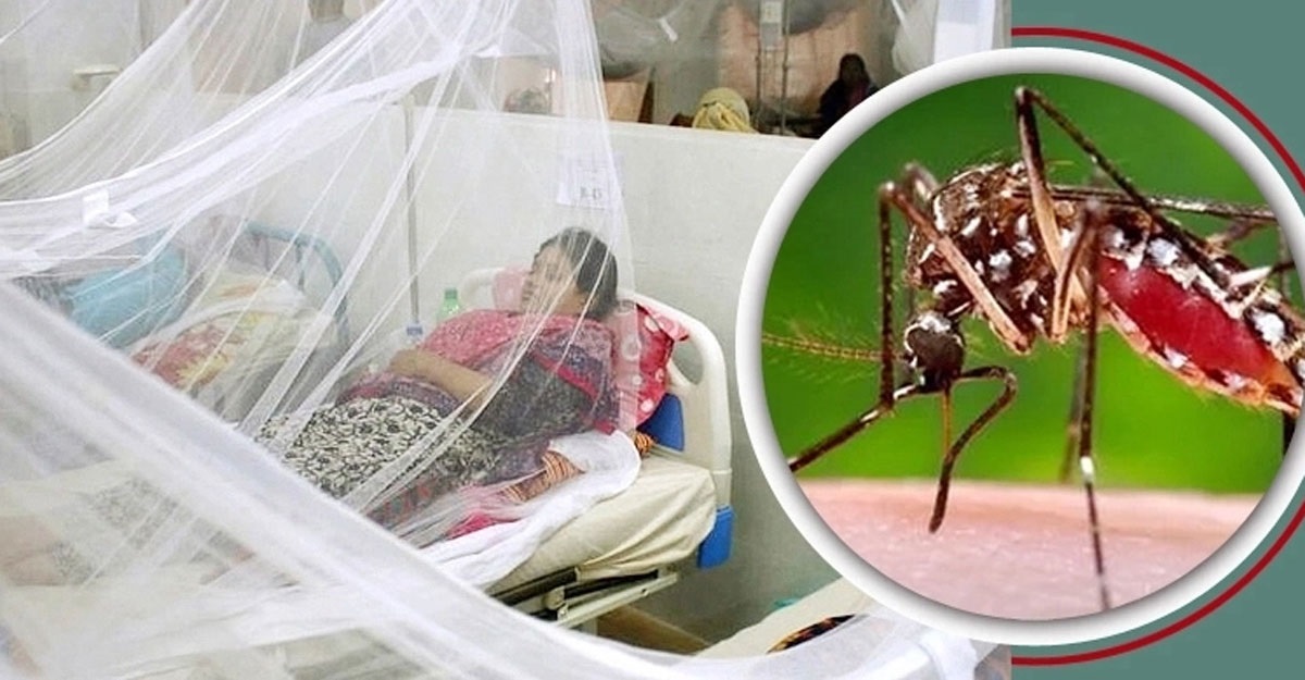 Dengue Claims 12 More Lives, 1852 Hospitalised In 24hr