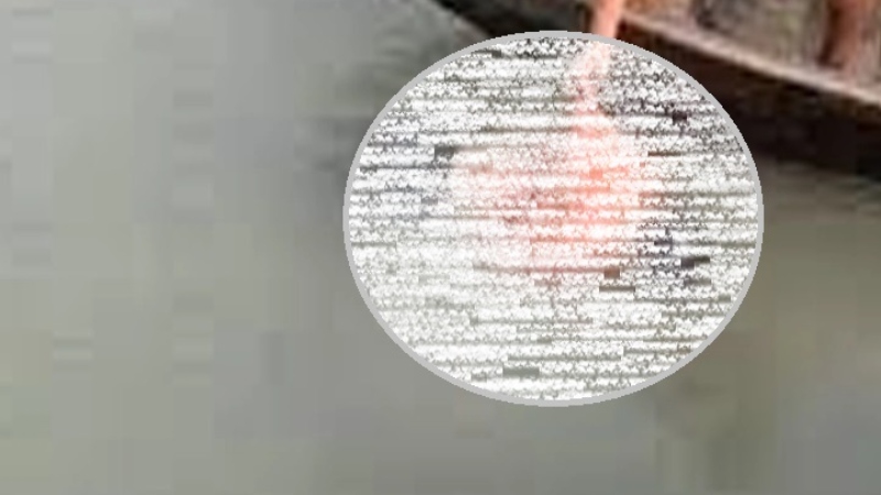 মেয়েকে বাঁচিয়ে ভেসে যাওয়া বাবার লাশ উদ্ধার