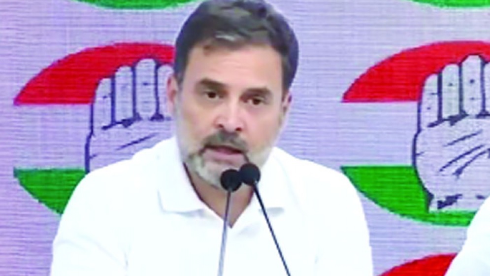 বিরোধীনেতা হিসেবে কী কী সুবিধা পাবেন রাহুল গান্ধী?