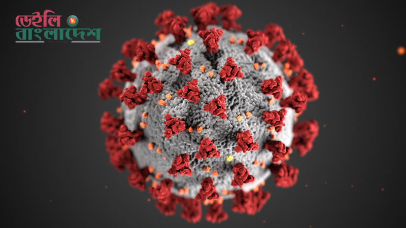 নতুন মহামারির শঙ্কা, এইচএমপিভি নিয়ে যা জানা জরুরি নতুন মহামারির শঙ্কা, এইচএমপিভি নিয়ে যা জানা জরুরি