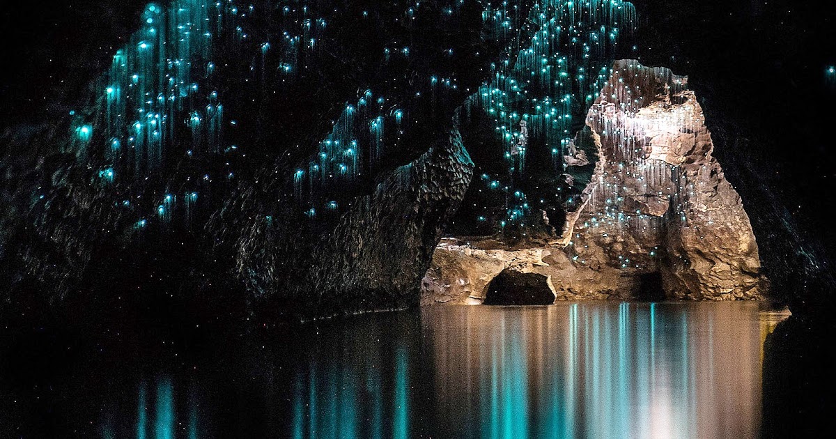 Waitomo caves. Пещеры Вайтомо новая Зеландия. Светящиеся пещеры Вайтомо новая Зеландия. Пещеры светлячков Вайтомо. Пещера светлячков новая Зеландия.